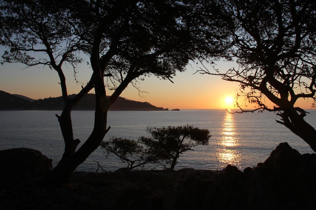 Auberge Du Cap Negre Le Lavandou Exteriér fotografie