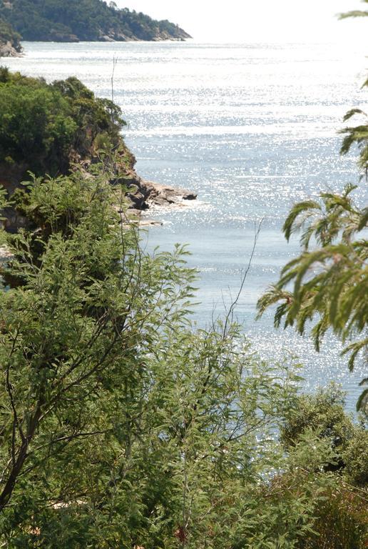 Auberge Du Cap Negre Le Lavandou Exteriér fotografie