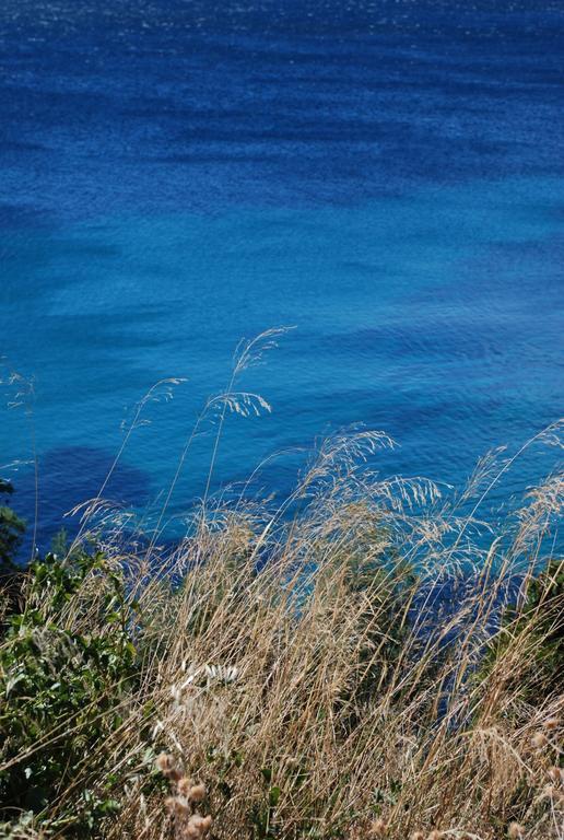 Auberge Du Cap Negre Le Lavandou Exteriér fotografie